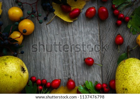 Autumn berries, leaves and pears on a gray background. Autumn background.