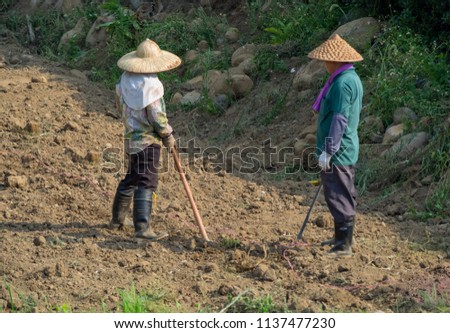 Farmers standing in the field of cultivated