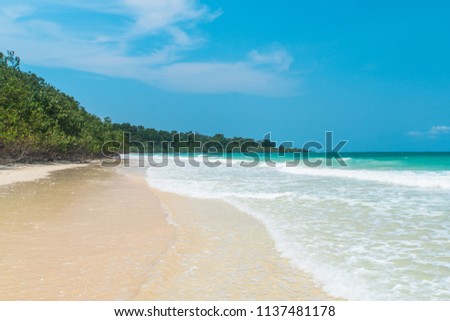 Idyllic perfect tropical white sandy beach and turquoise clear ocean water - summer vacation natural background with blue sunny sky