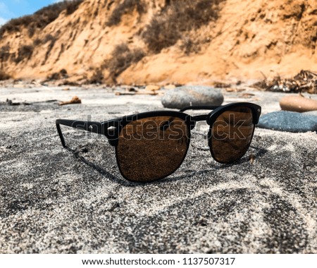 black and brown sunglasses at the beach in California