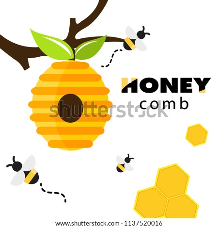 Honeycomb Bee Hive White Background Vector Image
