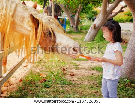 A cute Asian girl feeding carrots to horses at a farm in Thailand