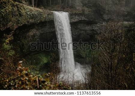 Flowing waterfall in green forest
