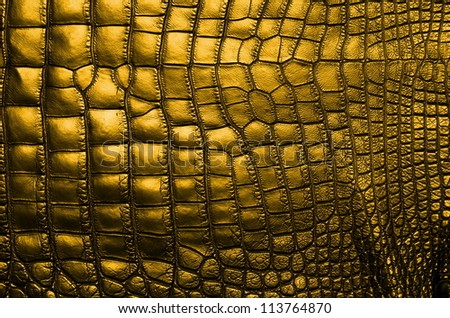 Vintage Gold Crocodile Belly Skin Texture Background.
