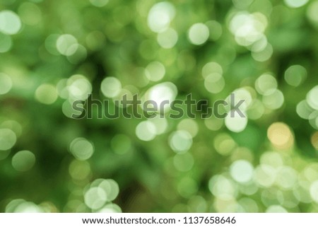 Green natural bokeh background