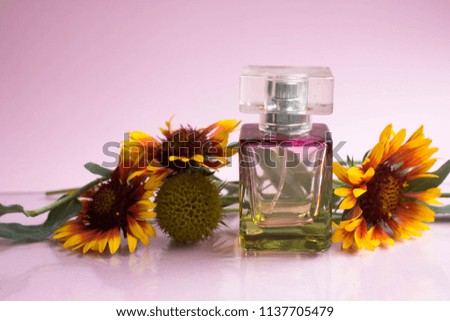 bottle of woman perfume on pink background with yellow and red flowers. gift.