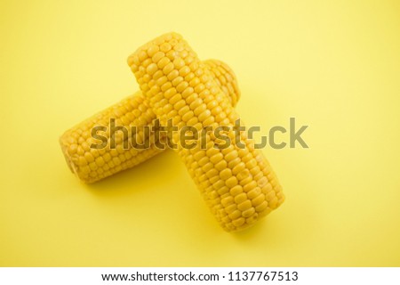 Boiled corn stock images. Corn on the cob. Corn on a yellow background. Yellow maize stock images. Two corn cobs