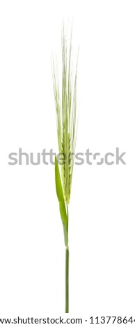 green ear isolated on white background