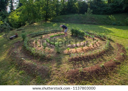 Young man with hat Working in a Home Grown Vegetable Garden Royalty-Free Stock Photo #1137803000