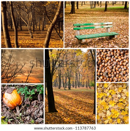 Autumn collage - Collection of autumn photos