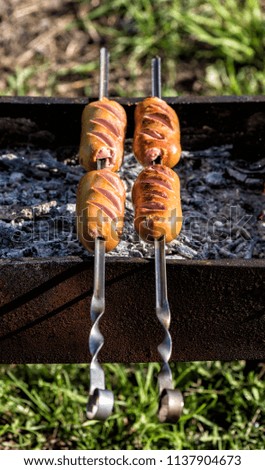 Kebab on the skewers cook on the grill