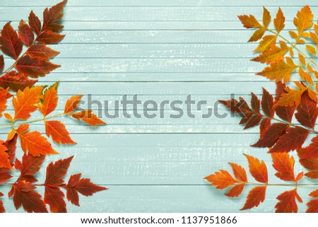 Autumnal frame for your idea. In autumn, fallen dry leaves of yellow, red, orange, aligned along the perimeter of the frame on a wooden board of soft blue with a place for your text. Model of autumn