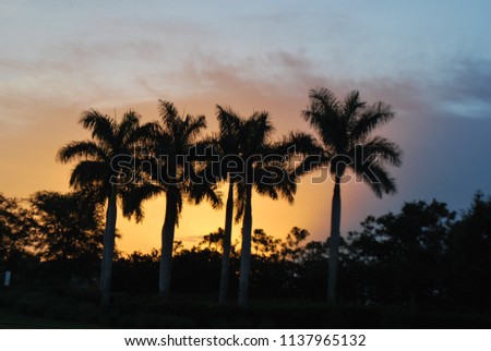 Beautiful Sunset in Parkland, Florida Royalty-Free Stock Photo #1137965132