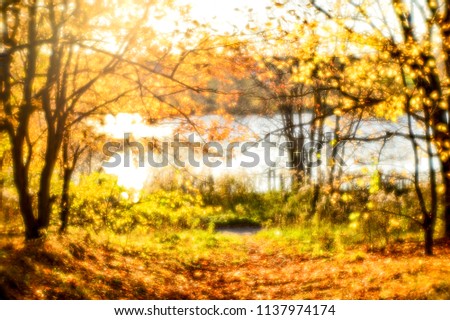 Artistic blur to the soft lens. Autumn landscape glow of leaves on the trees on the background of the lake water in the light of a contour. Background.