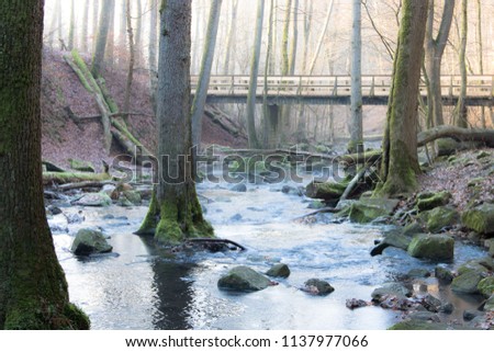 Canyon called Holzbachschlucht in Rennerod, Westerwald, Germany