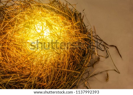 straw grass nest glows from within