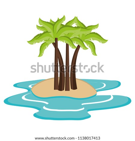 tree palms on the beach