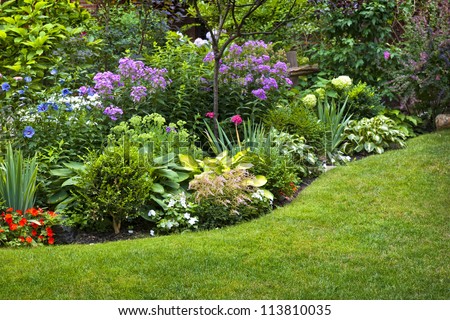 Lush landscaped garden with flowerbed and colorful plants Royalty-Free Stock Photo #113810035