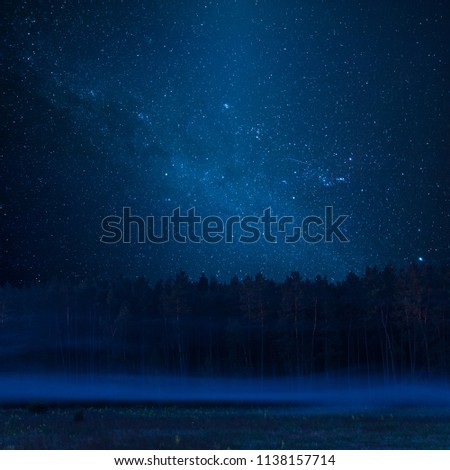 Fog in mystic forest, night landscape with stars