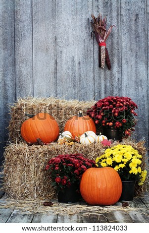 Pumpkins and Chrysanthemums on a bale of straw against a rustic background.