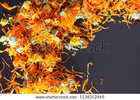 Marigolds on a black background. Flowers of calendula.