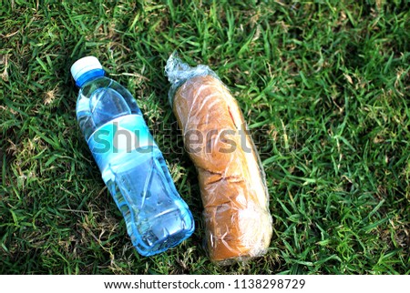 a sandwich and a bottle of water lie on the green grass Royalty-Free Stock Photo #1138298729