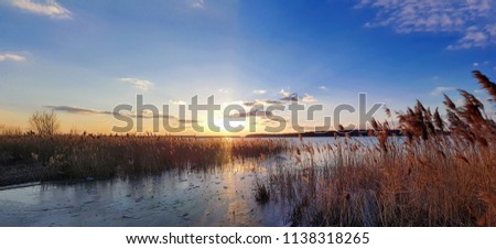 A very big beautiful panorama of wonderful amazing winter sunset with frozen lake, brown wild plants with sun shining in the center and blue sky in the background