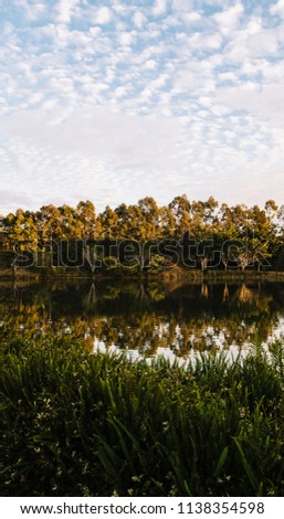 Beautiful lake in Springfield Lakes, Ipswich City, Queensland in the morning.