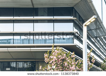 The local and green plants of the building curtain wall