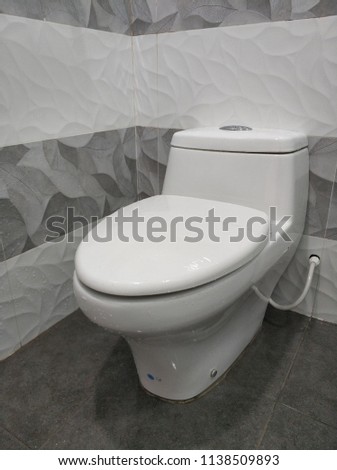 flushing toilet bowl and close the cover after use it