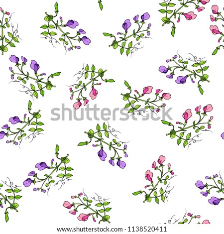 Seamless pattern with sweet pea. Vector illustration