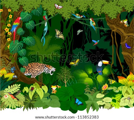 Vector Jungle background with Different Animals Royalty-Free Stock Photo #113852383