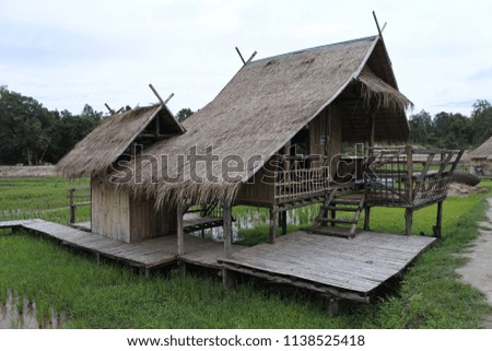 The wooden house is in the middle of the rice field and close to the mountain.