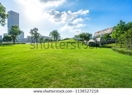 green lawn wity city skyline