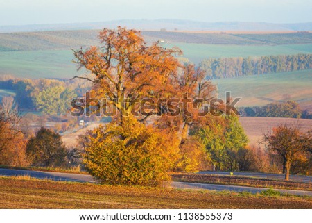 Scenic road through the autumn agricultural fields, colorful rural landscape, nature painting, South Moravia, Czech Republic