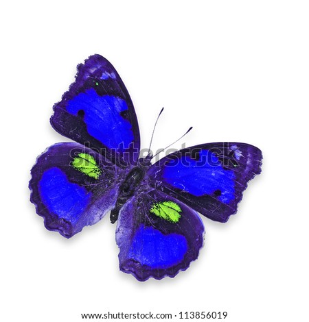 Blue Butterfly flying isolated on white