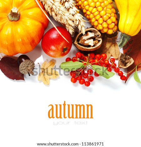 Harvested pumpkins with fall leaves, flowers and fruits over white