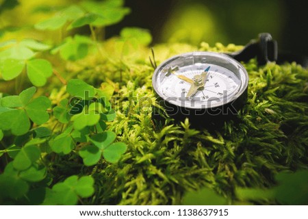 Close up handmade wooden compass, tree shadows on green nature grass ground. holiday adventure in forest. Compass telling direction. Abstract and art vintage background