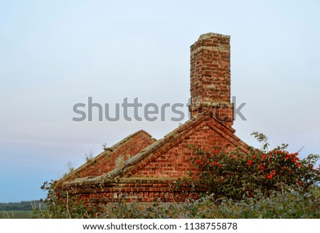 Ruined house, overgrown with plants, the roof fell through, there was a pipe and walls of red brick