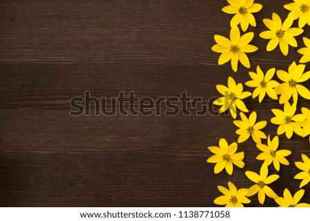 Small yellow flowers on a brown background. Closeup. Top view.