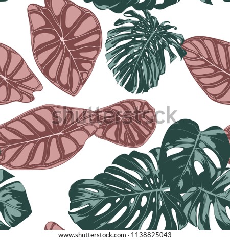 Tropical Jungle Leaves. Vector Seamless Pattern. Philodendron or Monstera Plant Repeating Background for Textile, Wallpaper, Summer Decoration. Floral Seamless Pattern with Alocasia and Monstera Leaf.