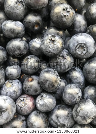 Fresh Harvest Organic Blueberries Background Top View Natural Light Selective Focus 
