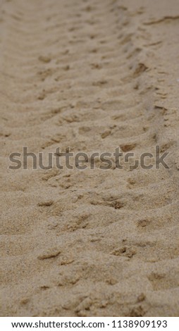 tire tracks in sand in a portrait position