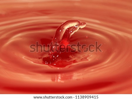 splash on the surface of a liquid after a drop of water