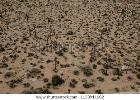 Desert valley landscape with rocks and mountains