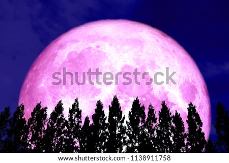 full pink moon back silhouette pine and night sky, Elements of this image furnished by NASA
