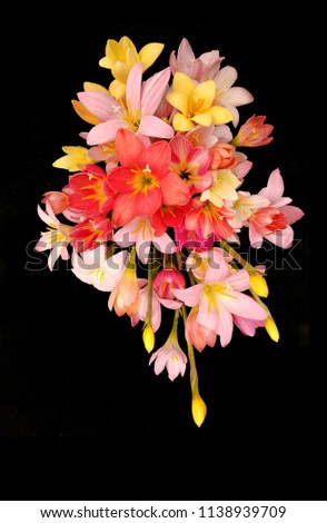 The colorfol Rain lily flowers bouquet. Gorgeous flower arrangement.
