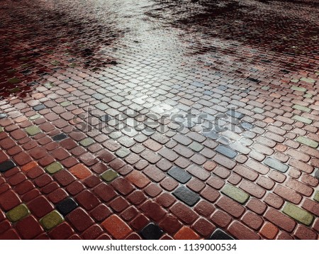 wet stone paving stone tiles after rain