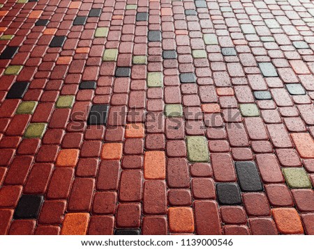 wet stone paving stone tiles after rain