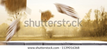Table background of free space for your product and autumn landscape with leaves splash. 